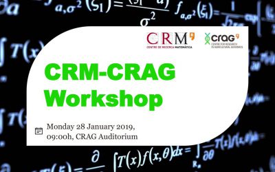 Joint Workshop CRM-CRAG