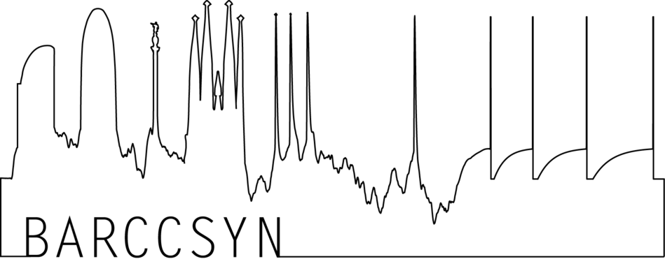 Logo_BARCCSYN copia
