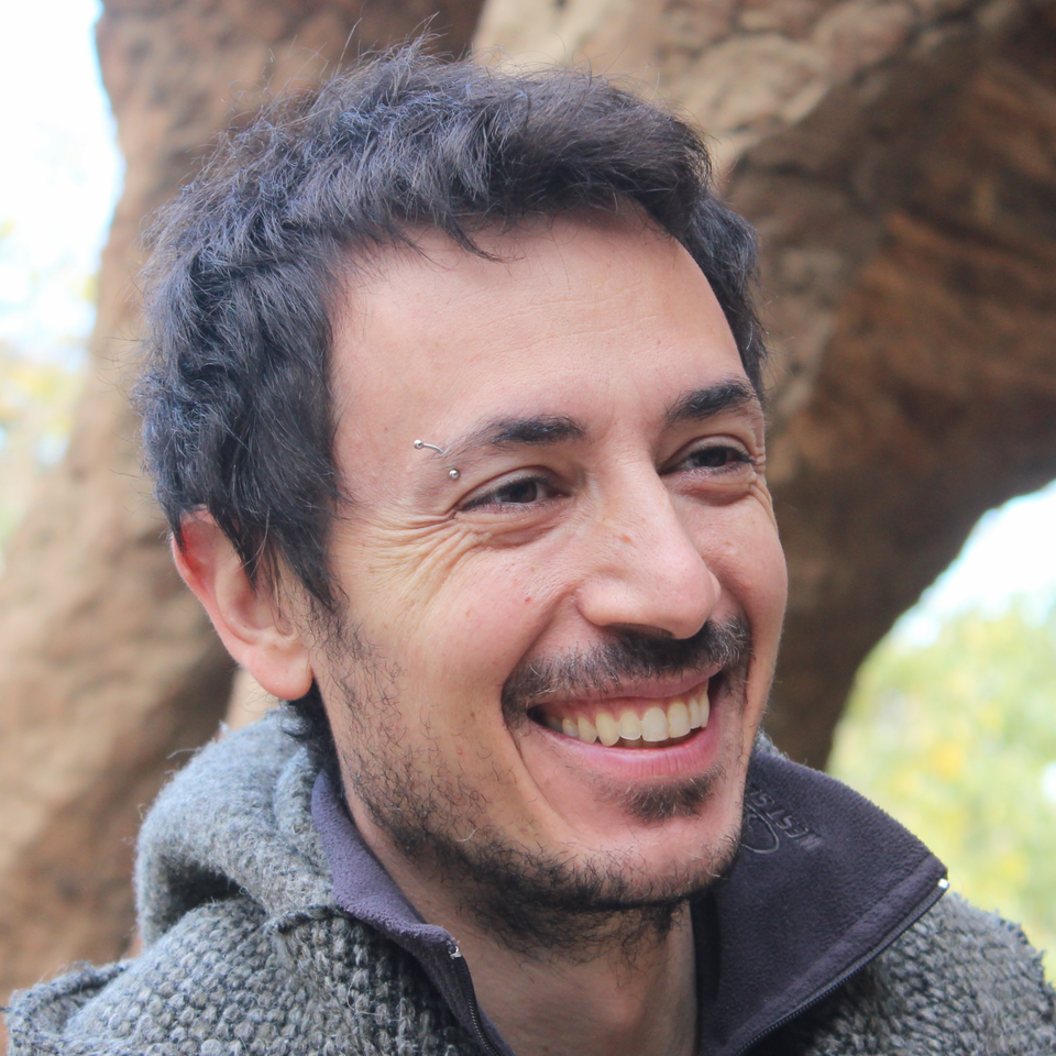 Simone Marchesi