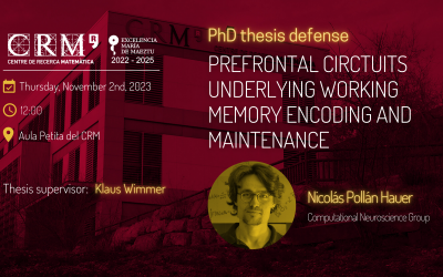 Nicolás Pollán Hauer will Defend his PhD Thesis on December 1st