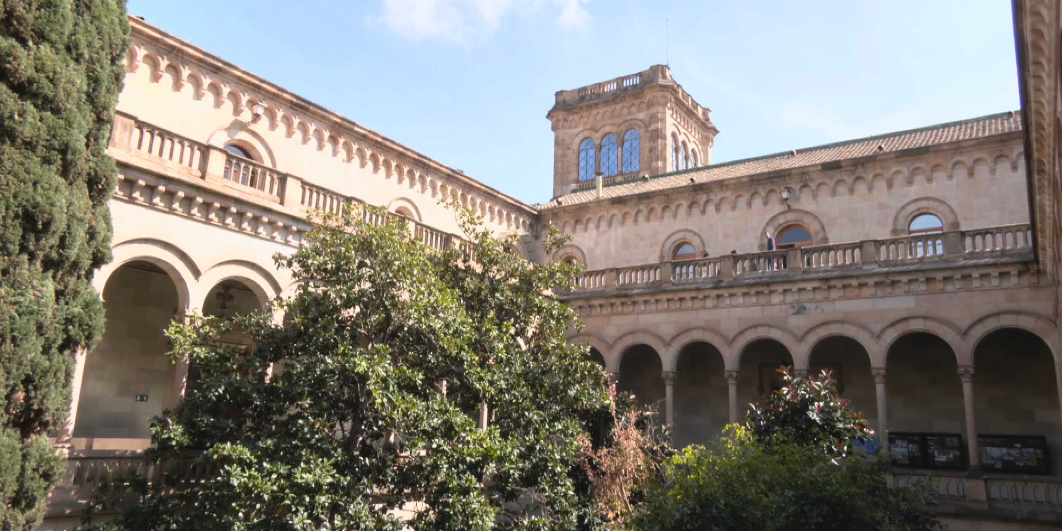 banner fagella ub