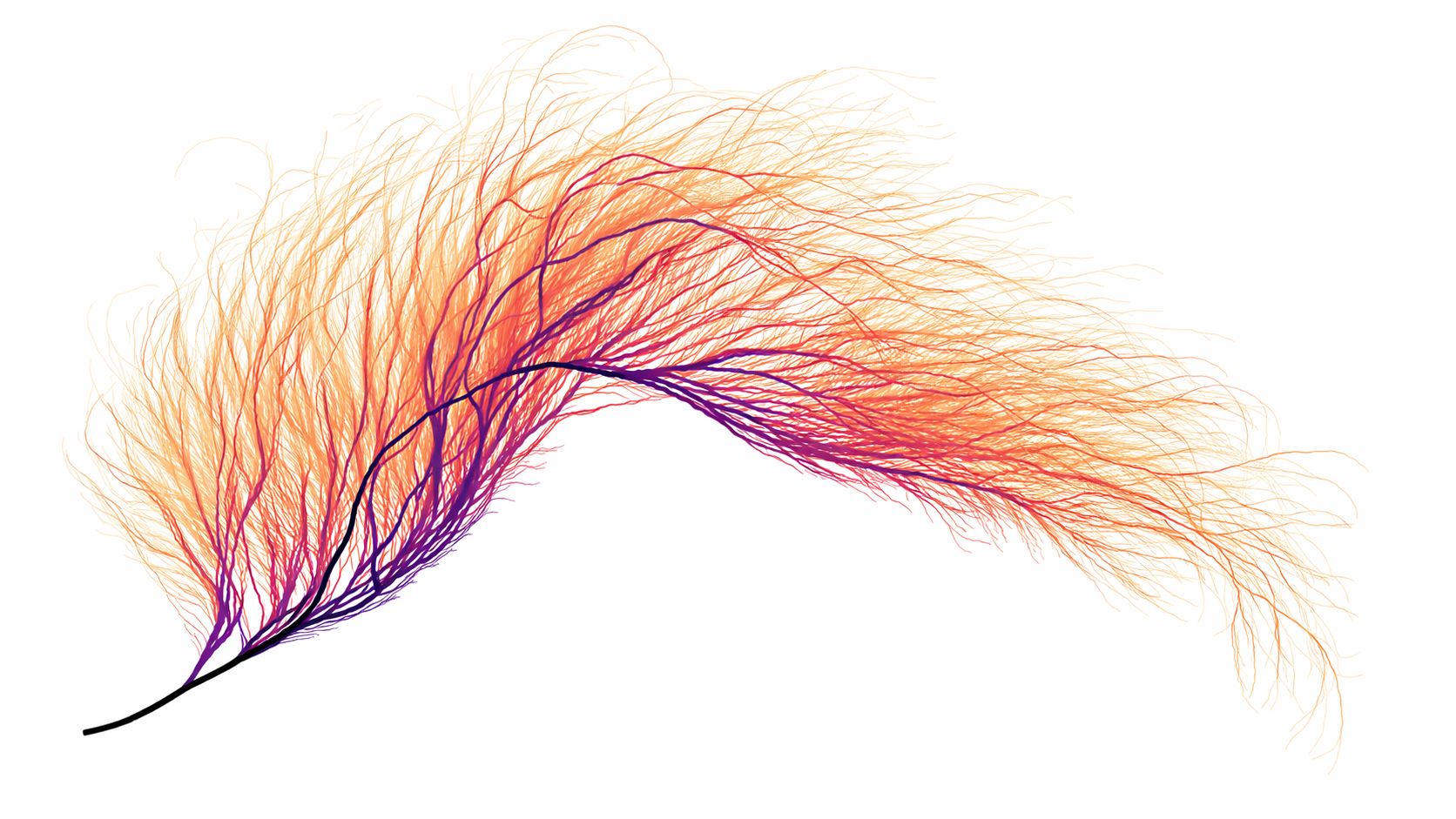 Tots els camins porten a l’1