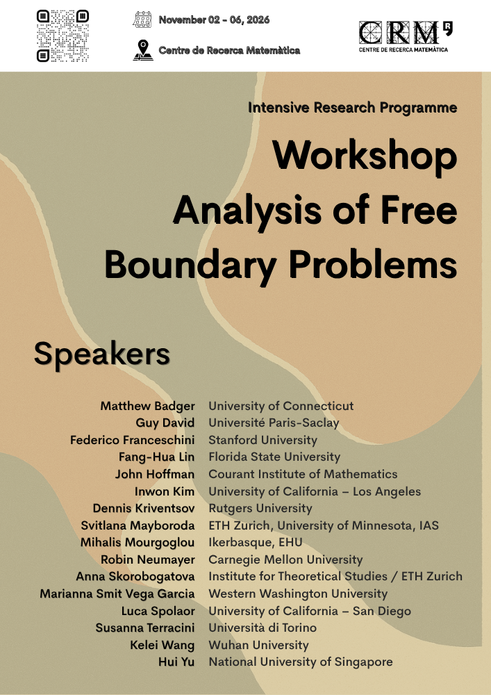 workshop free boundary problems