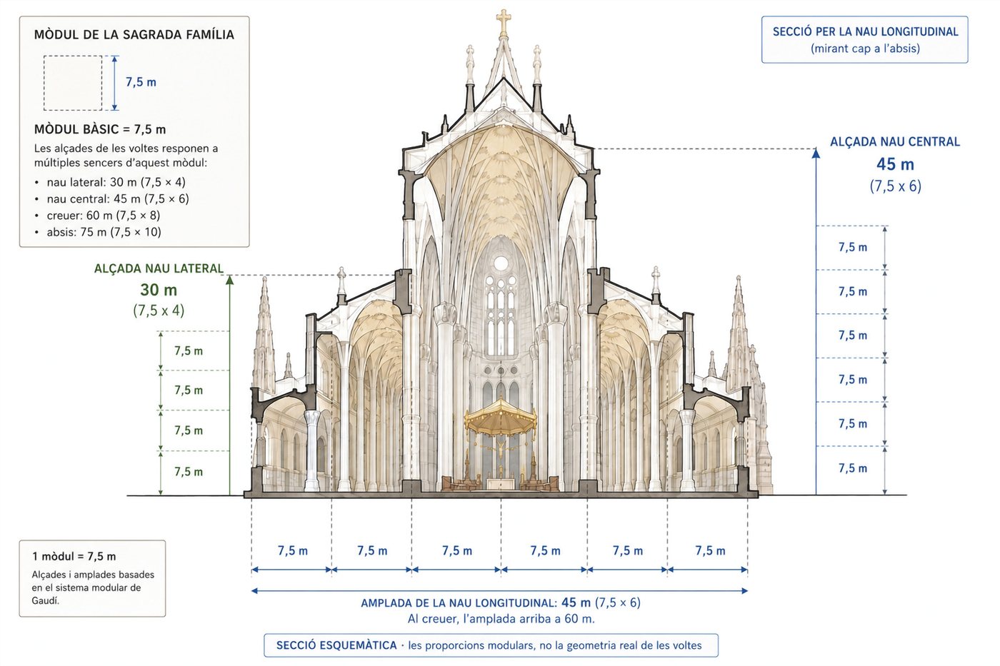Secció esquemàtica de la Sagrada Família amb les alçades de 30 i 45 metres i l’amplada de 45 metres marcades en mòduls de 7,5 metres