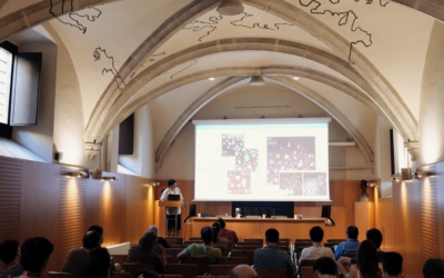 Fish schools and growing tissues: a workshop on how collective behaviour emerges