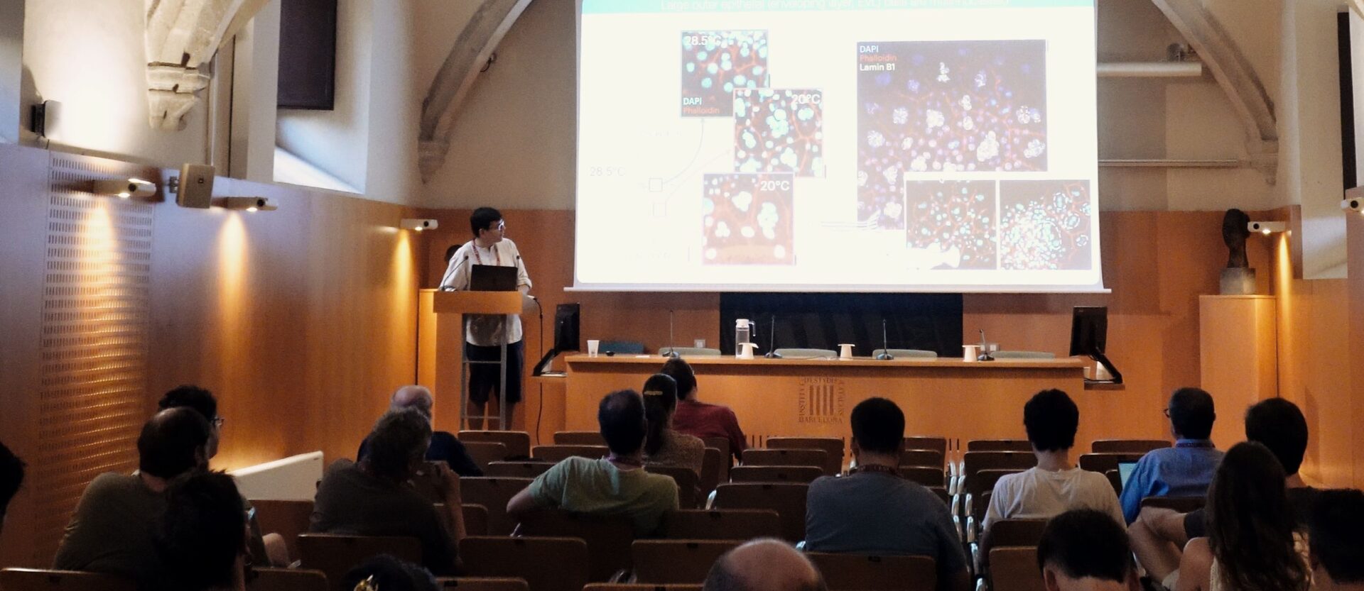 A talk under the vaulted stone ceiling of a lecture room, with microscopy images on the screen and the audience in the foreground